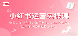 小红书运营实操课:选品、笔记创作、流量获取、起号变现等,让你在小红书轻松获收益-聊项目
