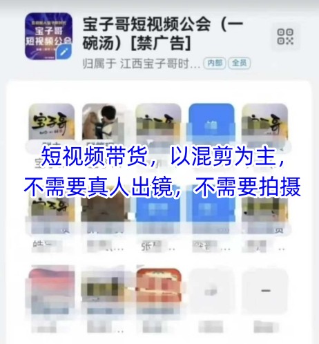 宝子哥头部团队短视频带货，以混剪为主，不需要真人出镜，不需要拍摄【更新9月】-聊项目