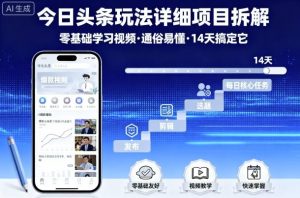 今日头条玩法详细项目拆解，零基础学习视频 通俗易懂 14天搞定它-聊项目