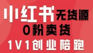 小红书无货源0粉电商课，开店准备、选品策略、笔记撰写、视频剪辑、数据分析、账号打造、资料文档-聊项目