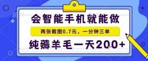 手机项目,二十秒一单,纯薅羊毛一天2张+做就有【揭秘】-聊项目