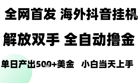 海外抖音无人直播，单日产出1.5k+，长期稳定，新手可玩，无脑操作【揭秘】-聊项目