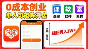 拼多多虚拟电商,0成本,单人可矩阵开店,轻松月入3W+-聊项目