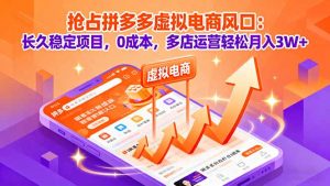 抢占拼多多虚拟电商风口:长久稳定项目,0成本,多店运营轻松月入3W+-聊项目