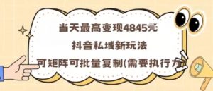 当天最高变现1k+,抖音私域新玩法,可矩阵可批量复制-聊项目