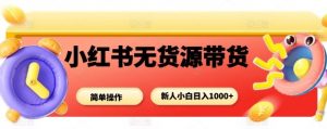 小红书无货源带货项目,简单无脑,新人小白日入多张-聊项目