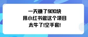 一天挣了9张用小红书做这个项目太牛了,空手套-聊项目