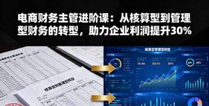 电商财务主管进阶课:从核算型到管理型财务的转型,助力企业利润提升30%-聊项目