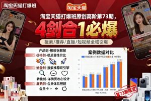淘宝天猫打爆班原创高阶第73期,4剑合1必爆-聊项目
