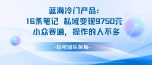 蓝海项目:16条笔记私域变现9750米小众赛道操作的人不多-聊项目
