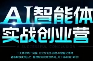 AI智能体实体战创业营(深圳9月23-25日),多维度助力老板、管理层、员工提升效能-聊项目