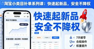 淘宝小类目补单系列课,快速起新品,安全不降权-聊项目