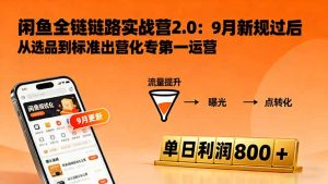 闲鱼变现课3.0:掌握链接优化、流量提升、商业变现,单日利润800+-聊项目