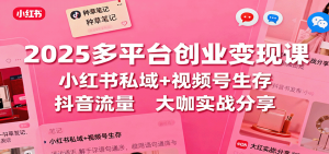 2025多平台创业变现课:小红书私域+视频号生存+抖音流量,大咖实战分享-聊项目
