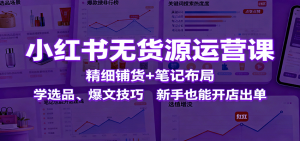 小红书无货源运营课:精细铺货+笔记布局,学选品、爆文技巧,新手也能开店出单-聊项目