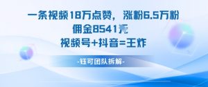 一条视频18W点赞,涨粉6.5W粉佣金8541米,视频号+抖音=王炸-聊项目