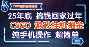 25年底搞钱回家过年,CSGO游戏挂机掘金,纯手机操作超简单-聊项目