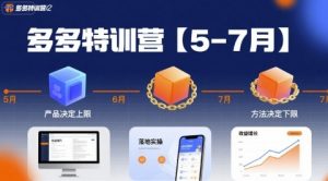 多多特训营,产品决定上限,方法决定下限,各种玩法技巧落地实操(更新)-聊项目