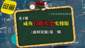 麦子甜咸鱼自助卖货实操版(虚拟资源)一个会自动搞钱的机器-聊项目
