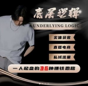一个人起盘的底层逻辑,私域流量-直播电商-实体获客,一人起盘的36种賺钱思路-聊项目