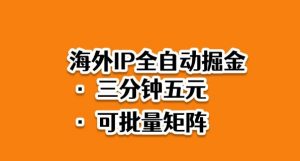 海外ip全自动掘金,2025必做蓝海项目,3分钟落地,矩阵直接开干【揭秘】-聊项目