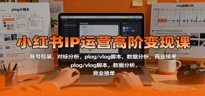 小红书IP运营高阶变现课:账号包装,对标分析,plog/vlog脚本,数据分析,商业接单-聊项目