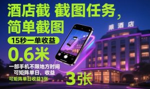 酒店截图任务，简单截图，15秒一单收益0.6米，一部手机不限地方时间，可矩阵单日收益3张【揭秘】-聊项目