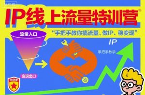 IP线上流量特训营，手把手教你搞流量、做IP、稳变现-聊项目