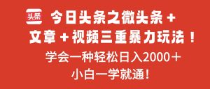 今日头条之微头条+文章+视频三重暴力玩法,学会一种轻松日入2000+,…-聊项目