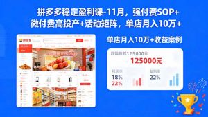 拼多多稳定盈利课-11月,强付费SOP+微付费高投产+活动矩阵,单店月入10w+-聊项目