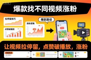 爆款找不同视频涨粉,让视频拉停留,实现点赞,破播放,涨粉-聊项目