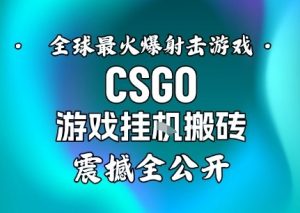 【年底大揭秘】基于全球最火爆的射击CSGO游戏挂G搬砖,日入5张+,震撼公开-聊项目