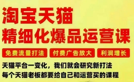 淘宝天猫精细化爆品运营课，免费流量打法-付费广告放大-利润增长-三大核心痛点，一次全部解决-聊项目