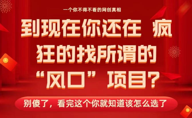 马上26年了，你还在找所谓的风口项目？别傻了，看完这个你全都懂了！【揭秘】-聊项目