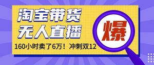 年前风口!淘宝带货,无人直播160小时卖了6万!-聊项目