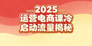 2025小红书运营电商课：新手实战＋冷启动＋流量揭秘-聊项目
