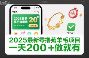 2025最新零撸薅羊毛项目,纯手机操作,20秒一单,无任何门槛,一天200+做就有【揭秘】-聊项目