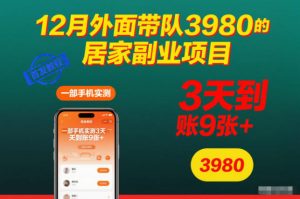 12月外面带队3980的居家副业项目,一部手机实测3天到账9张+,首发教程【揭秘】-聊项目