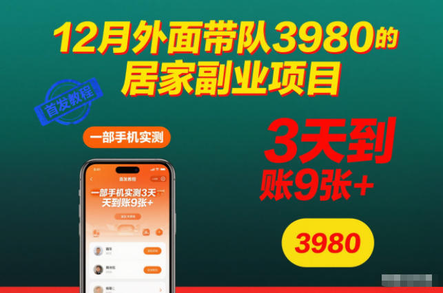 12月外面带队3980的居家副业项目，一部手机实测3天到账9张+，首发教程【揭秘】-聊项目