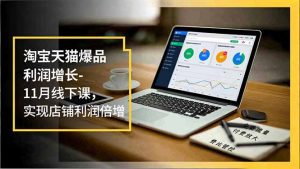 淘宝天猫爆品利润增长-11月线下课,免费流量、付费放大、费比管控,实现店铺利润倍增-聊项目