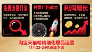 淘宝天猫精细化爆品运营11月22-24杭州线下课,免费流量打法+付费广告放大+利润增长(音频+文档)-聊项目