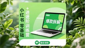 小红书零基础+高阶训练营:安全养号、爆款拆解、长效运营,实现稳定涨粉与变现-聊项目