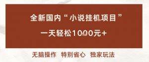 全新国内小说挂G项目,多窗口无脑跑,一天轻松1k+,特别省心【揭秘】-聊项目