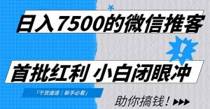 日入7500的微信推客，首批红利，自用省钱、分享赚钱，0门槛小白闭眼冲！-聊项目