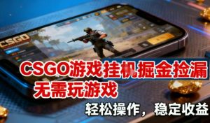CSGO游戏挂G掘金捡漏，不需要玩游戏，操作简单，收益稳定【揭秘】-聊项目