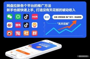 网盘拉新各个平台的推广方法,新手也能快速上手,打造没有天花板的被动收入-聊项目