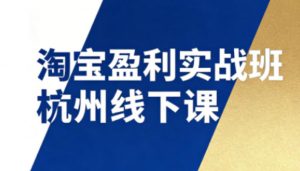 淘宝盈利实战班杭州线下课12月26-28日(音频+字幕)，帮你掌握SOP流程+12门核心技术-聊项目