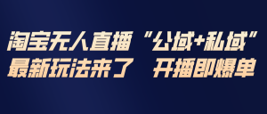 淘宝无人直播最新玩法，包含私域和公域两种玩法-聊项目