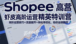 Shopee虾皮高阶运营精英特训营，高阶运营技巧+流量提升+转化率优化，助你业绩翻倍-聊项目