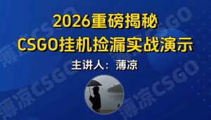 CSGO游戏挂机游戏搬砖最新升级，普通小白一部手机可日入300+当天见结果，支持验证-聊项目